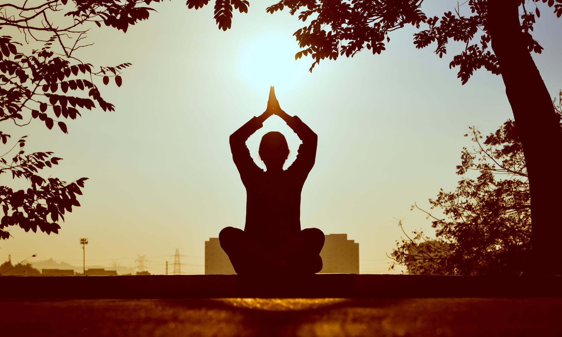 yoga - yoga therapy - activity therapy
